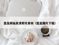 扶余昆虫网站高清照片素材（昆虫图片下载）